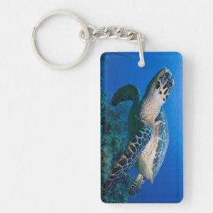 Cayman Islands, Little Cayman Island, Underwater 2 Key Ring