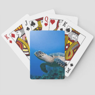 Cayman Islands, Little Cayman Island, Underwater 2 Playing Cards