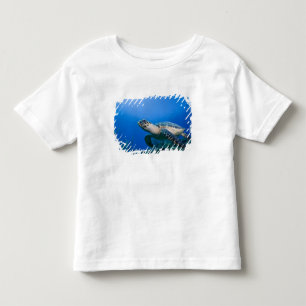 Cayman Islands, Little Cayman Island, Underwater 2 Toddler T-Shirt