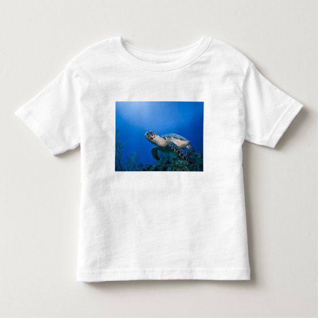 Cayman Islands, Little Cayman Island, Underwater 2 Toddler T-Shirt (Front)