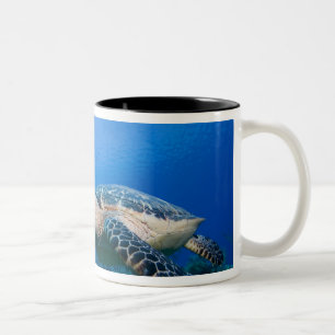 Cayman Islands, Little Cayman Island, Underwater 2 Two-Tone Coffee Mug
