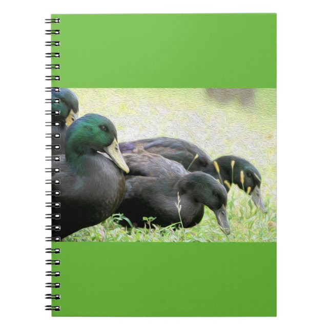Cayuga Black Ducks Fine Art Notebook (Front)