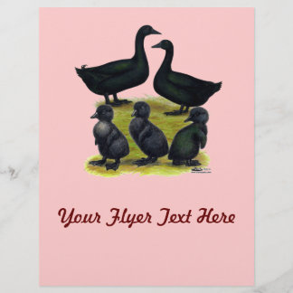 Cayuga Duck Family Flyer