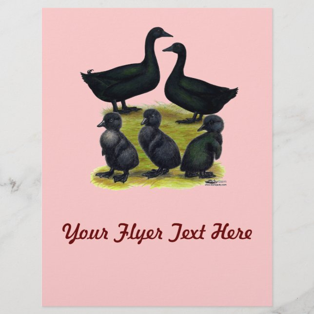Cayuga Duck Family Flyer (Front)