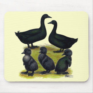 Cayuga Duck Family Mouse Pad