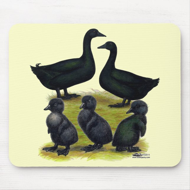 Cayuga Duck Family Mouse Pad (Front)