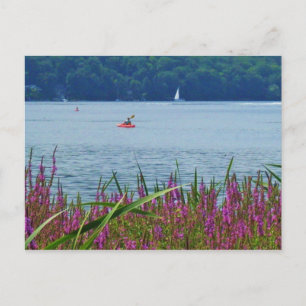 CAYUGA LAKE, ITHACA,N.Y. postcard