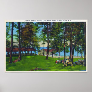 Cayuga Lake State Park Scene Poster