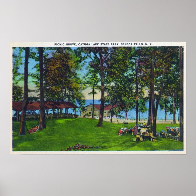 Cayuga Lake State Park Scene Poster (Front)