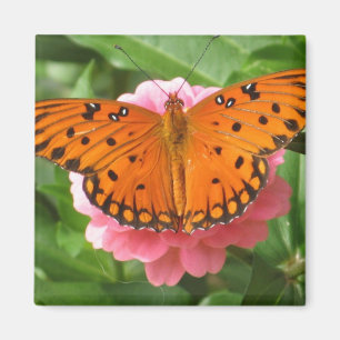 CC- Butterfly Magnet