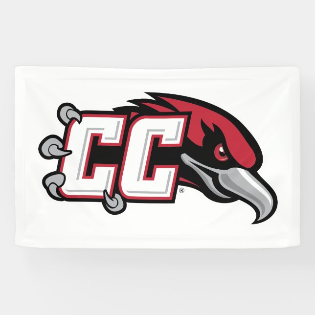 CC Thunderbird Logo Banner (Horizontal)