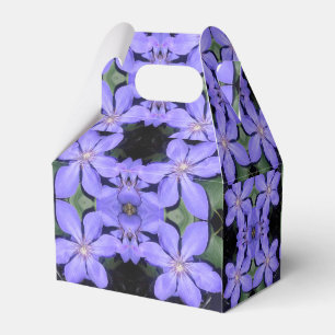 Césarine Favour Box