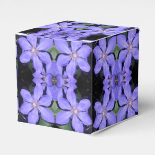 Césarine Favour Box