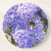 Ceanothus Flower Blossom Bee