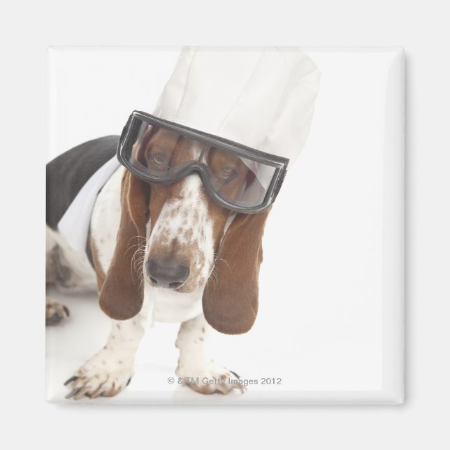 Cecelia Erhart Magnet (Front)