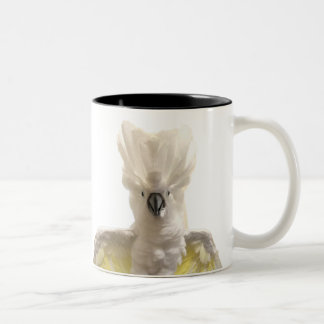 Cecil Mug