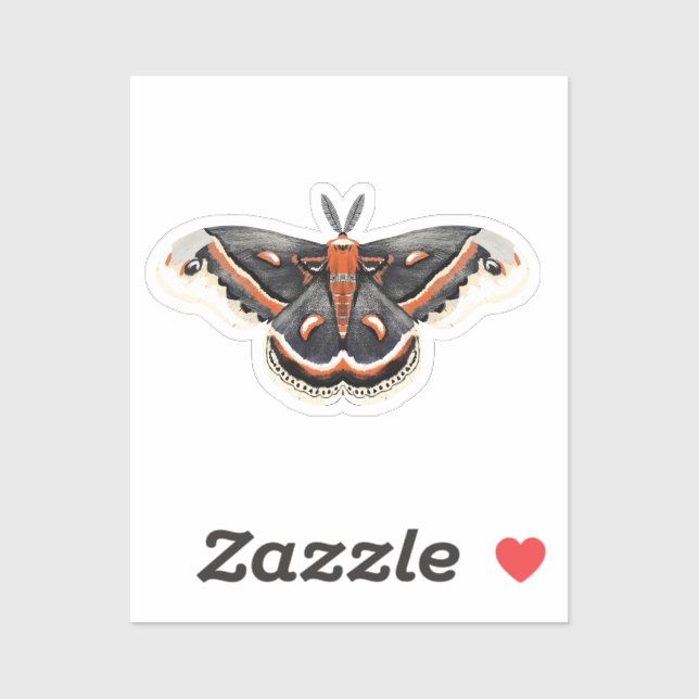 Cecropia Moth (Sheet)