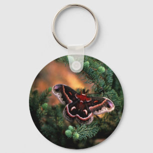 Cecropia moth key ring