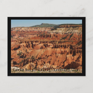 Cedar Breaks National Monument Postcard