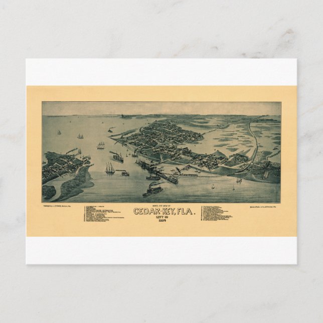 Cedar Key Postcard (Front)