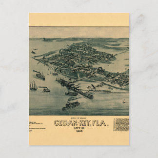 Cedar Key Postcard