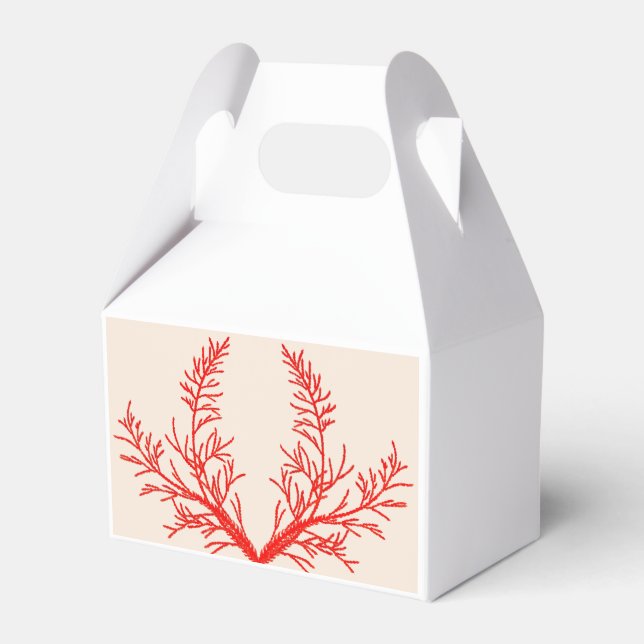 Cedar Leaves on a Gable Favour Box (Front Side)