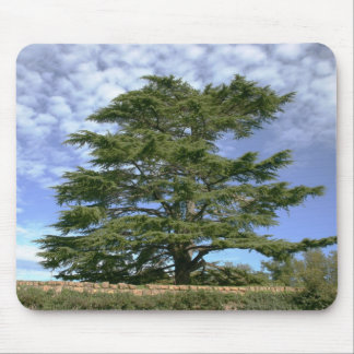 Cedar of Lebanon Mouse Pad