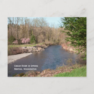 Cedar River Beach Postcard