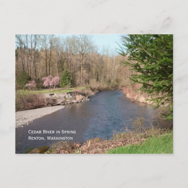 Cedar River Beach Postcard (Front)