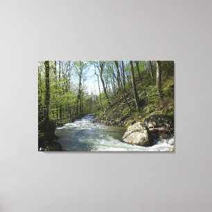 Cedar Run at White Oak Canyon Canvas Print