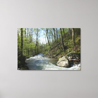 Cedar Run at White Oak Canyon Canvas Print