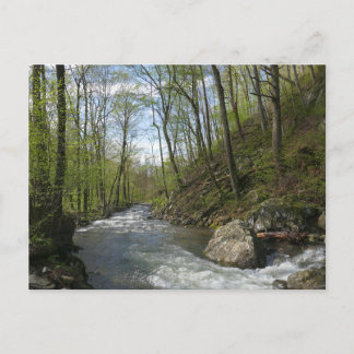 Cedar Run at White Oak Canyon Postcard