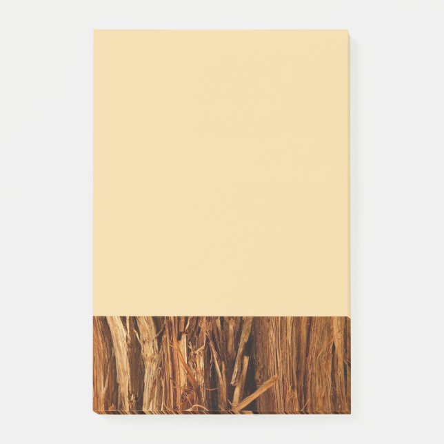 Cedar Textured Wooden Bark Look Post-it Notes (Front)
