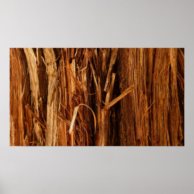 Cedar Textured Wooden Bark Look Poster (Front)