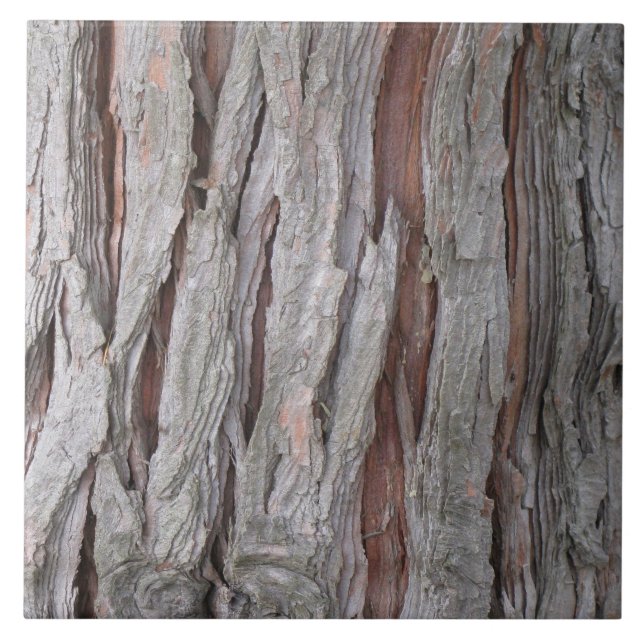 Cedar tree bark texture tile (Front)