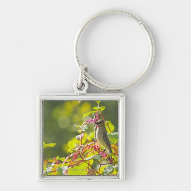 Cedar Waxwing  And Poke Berries On A Tree Key Ring (Front)