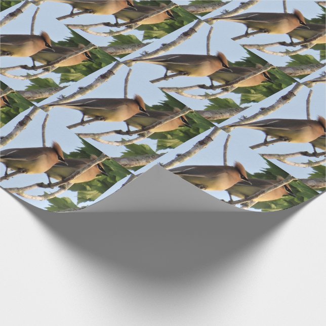 Cedar Waxwing - Backyard Bird -Wrapping Paper Roll (Corner)