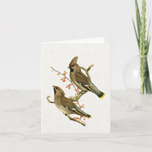 Cedar Waxwing Bird Holiday Nature Snowflake  Card