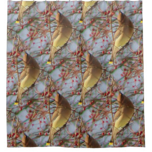Cedar Waxwing Bird Nature Pattern Shower Curtain