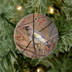 Cedar Waxwing   Christmas Ornament