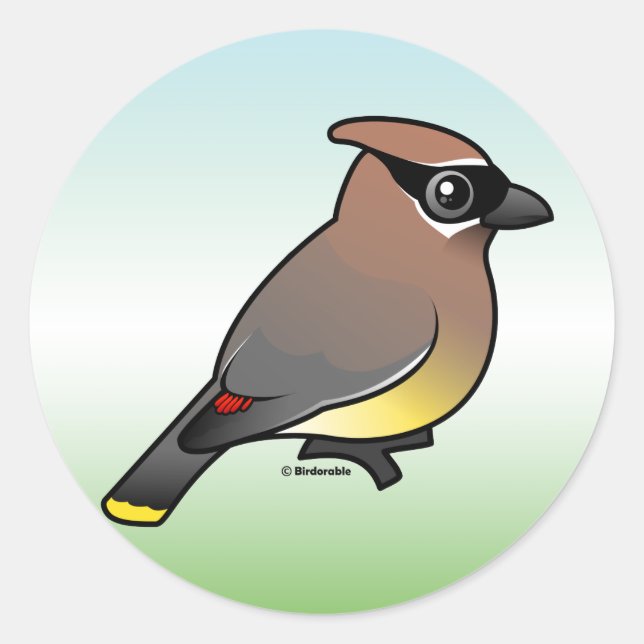 Cedar Waxwing Classic Round Sticker (Front)