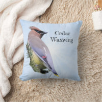 Cedar Waxwing