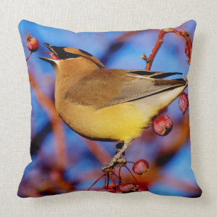 Cedar Waxwing Cushion