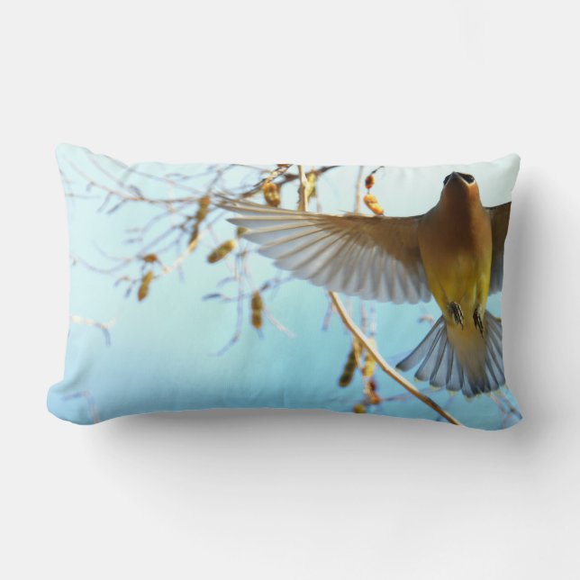 Cedar Waxwing in Flight/Pale Blue Sky Lumbar Cushion (Front)