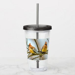 Cedar Waxwing - Original Photograph Acrylic Tumbler