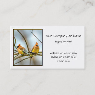 Cedar Waxwing - Original Photograph Business Card