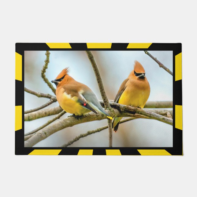 Cedar Waxwing - Original Photograph Doormat (Front)