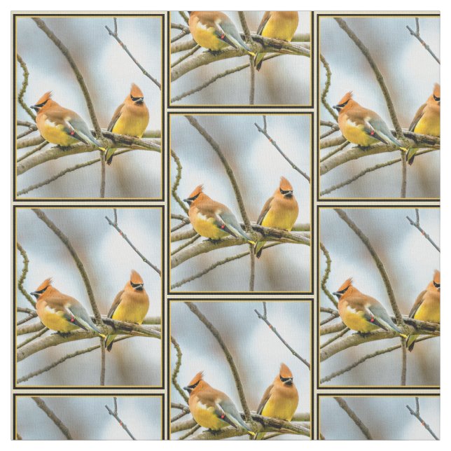 Cedar Waxwing - Original Photograph Fabric (Swatch)
