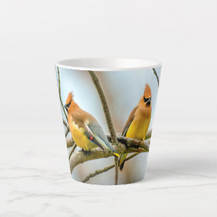 Cedar Waxwing - Original Photograph Latte Mug