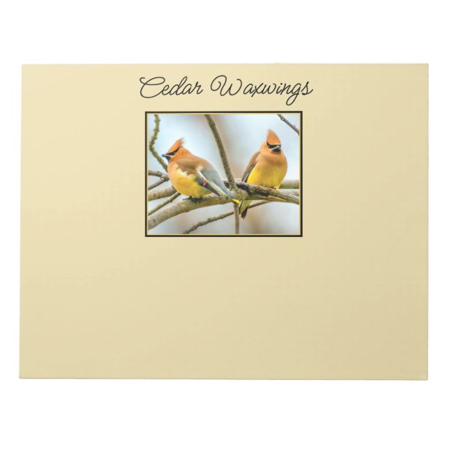 Cedar Waxwing - Original Photograph Notepad (Front)
